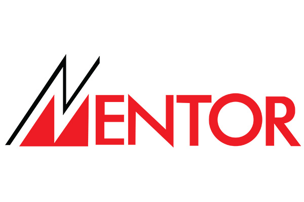 Mentor Training
